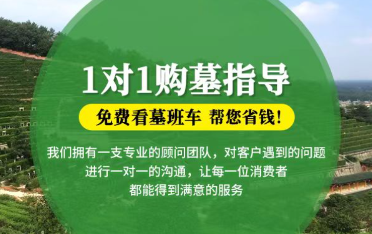 阳江贺州市钟山县祭祀用品的现代替代品有哪些？